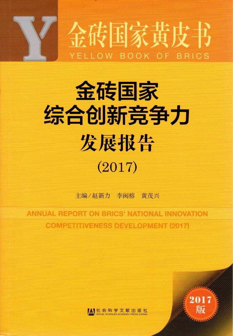 艹下面免费视频金砖国家综合创新竞争力发展报告（2017）